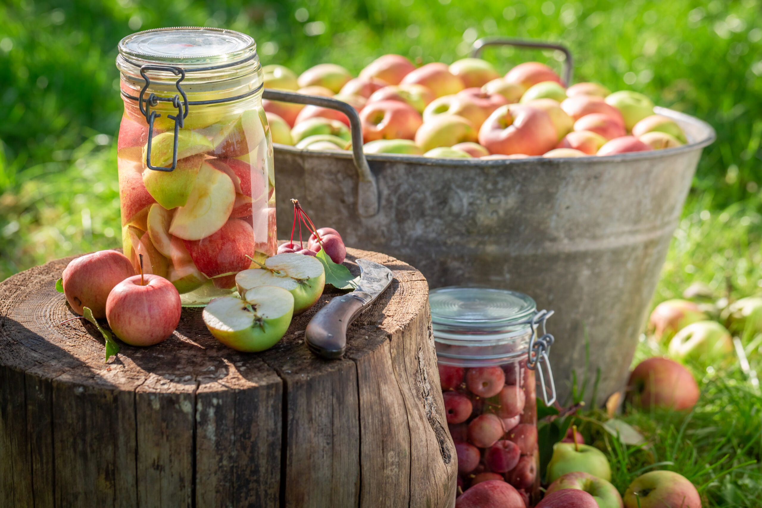 Image hover effect image